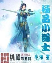 2025年澳门精准正版资料都市风流小说